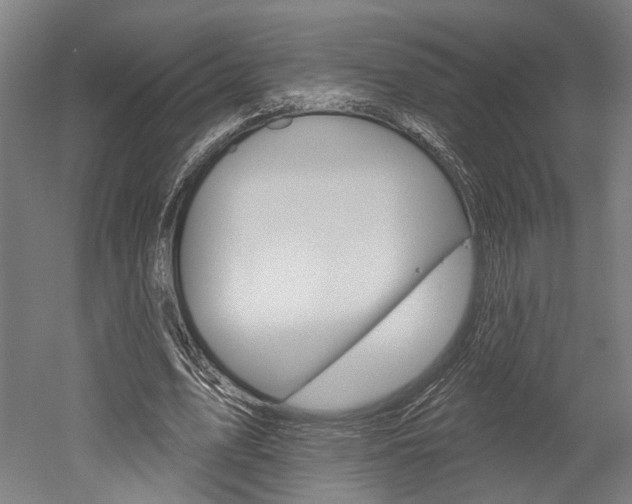 X0000052540583200507010821