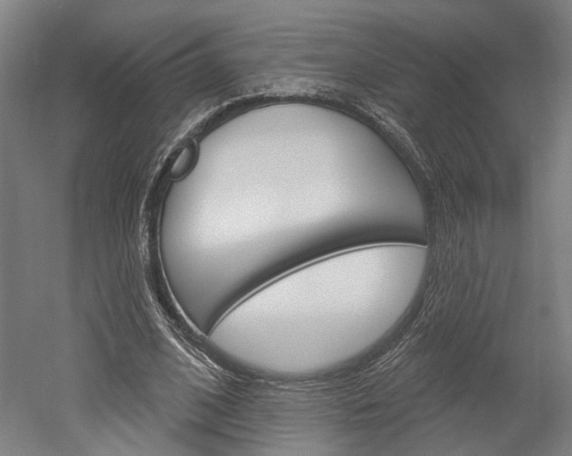 X0000052540584200507010821