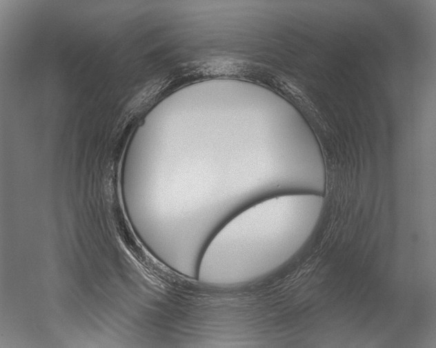 X0000052540586200507010821