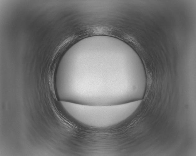 X0000052540587200507010821
