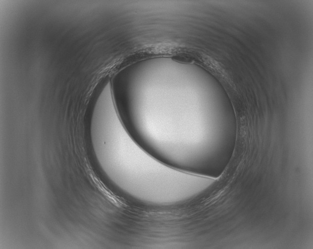 X0000052540589200507010821