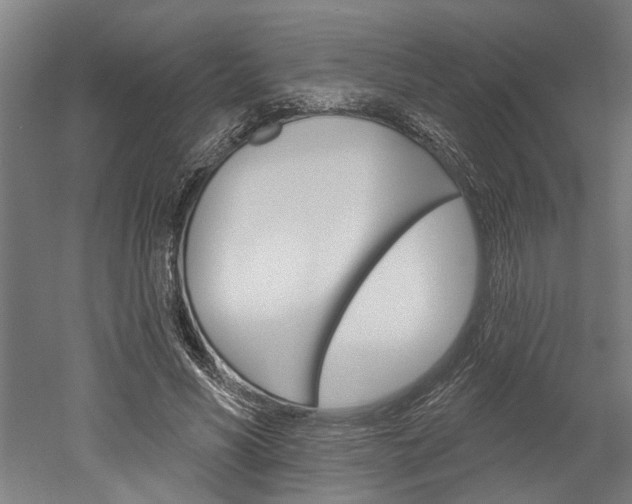 X0000052540590200507010821