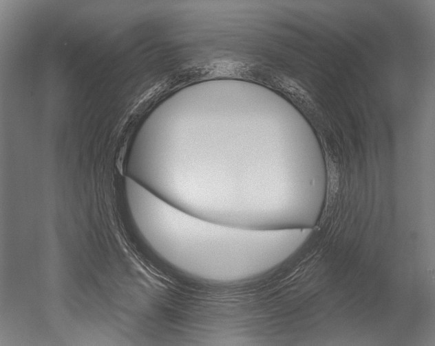 X0000052540591200507010821