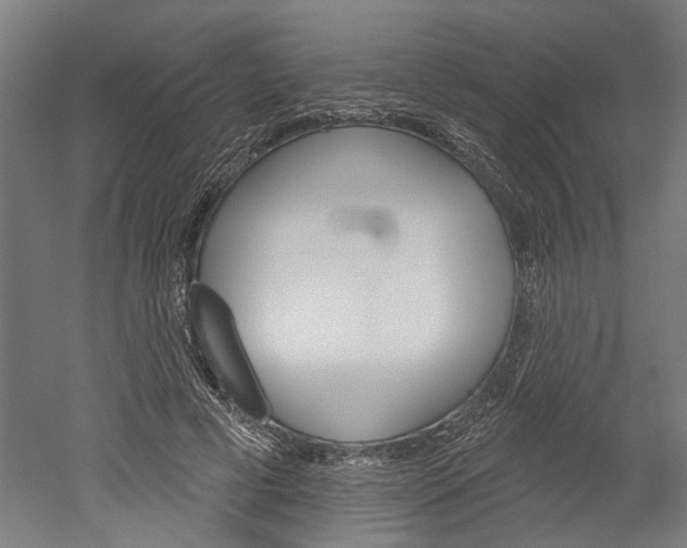 X0000052540593200507010821