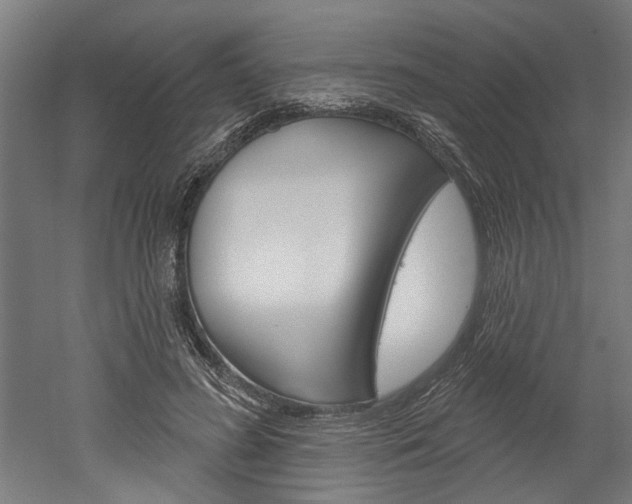 X0000052540596200507010821