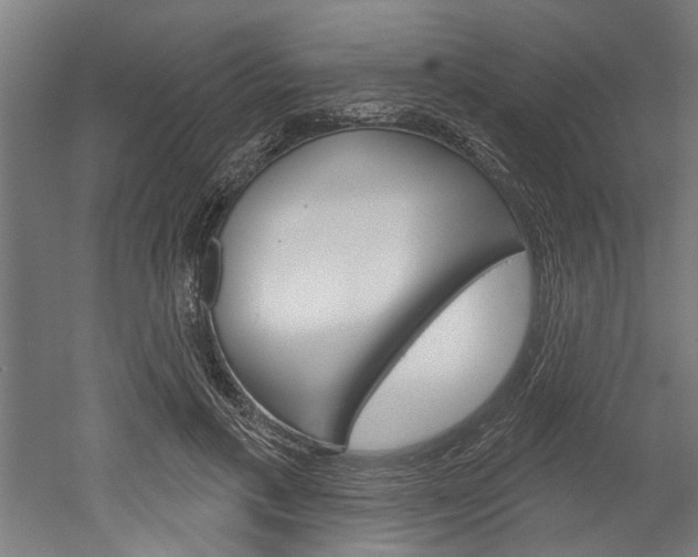 X0000052540597200507010821