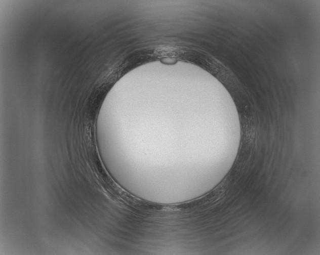X0000052540603200507010821