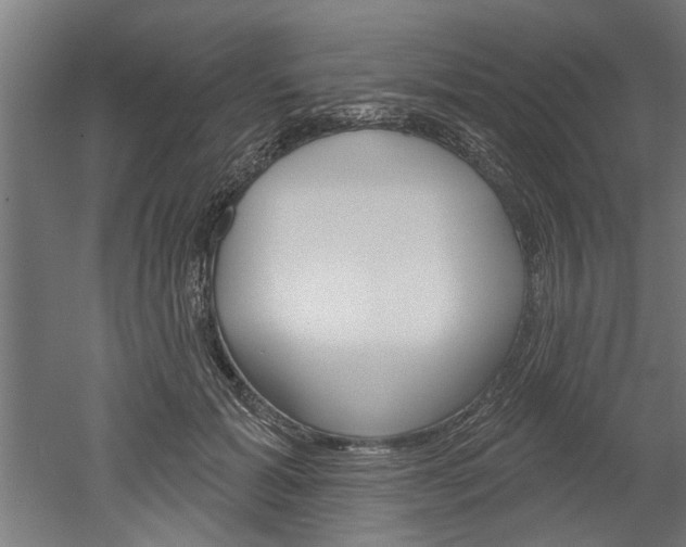 X0000052540605200507010821