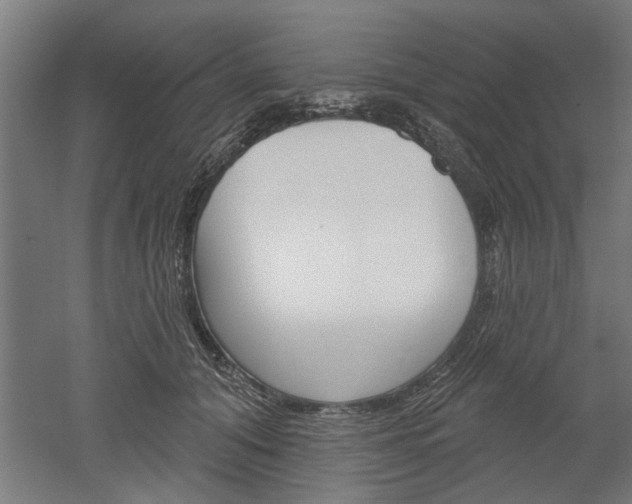 X0000052540608200507010821