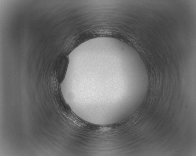 X0000052540609200507010821