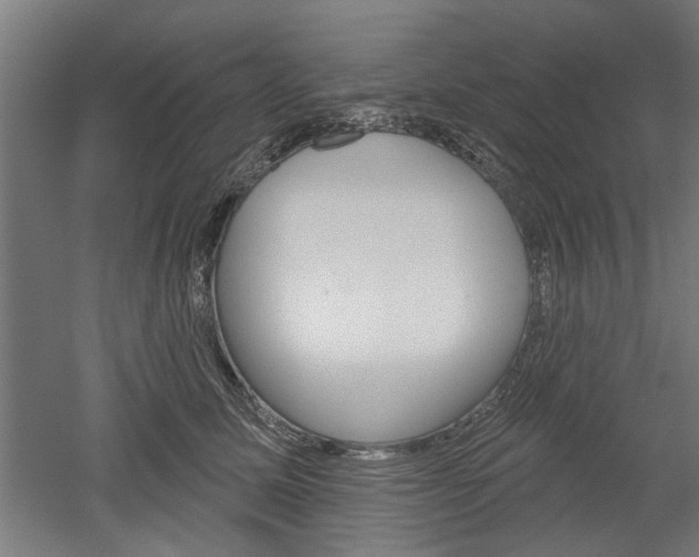 X0000052540611200507010821