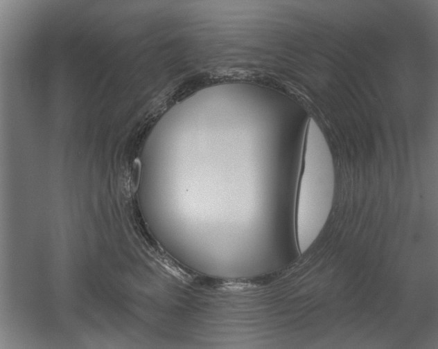 X0000052540617200507010820