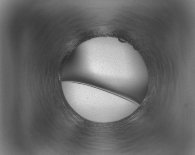 X0000052540624200507010820