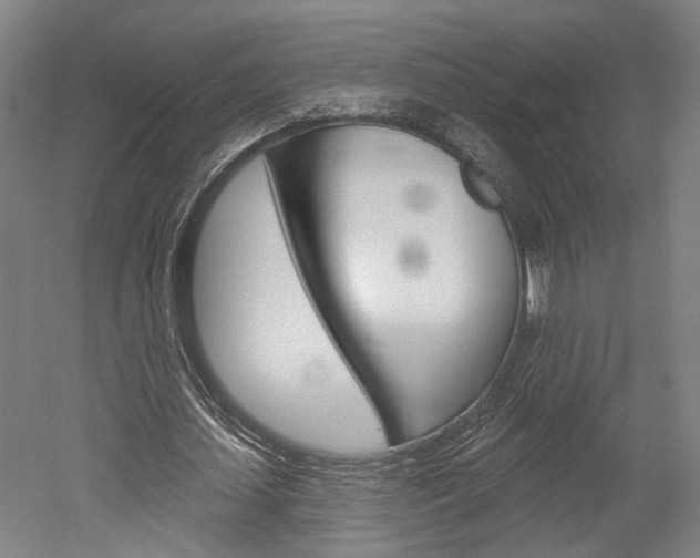 X0000052540627200507010820