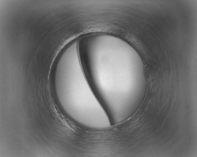 X0000052540628200507010820