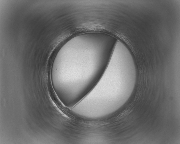 X0000052540630200507010820