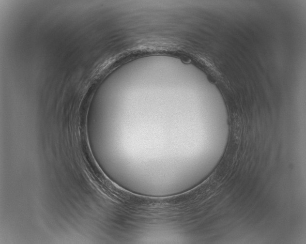 X0000052540631200507010820