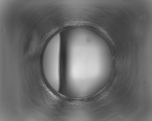 X0000052540633200507010820