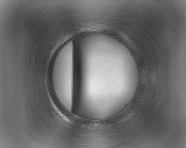 X0000052540634200507010820