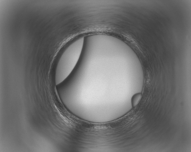 X0000052540636200507010820