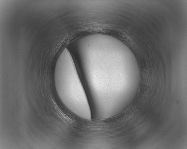 X0000052540642200507010820