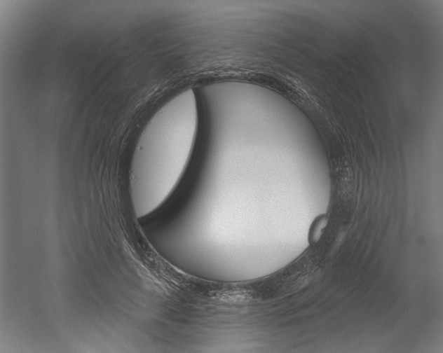 X0000052540643200507010820
