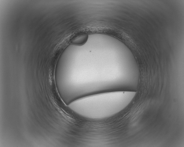 X0000052540644200507010820