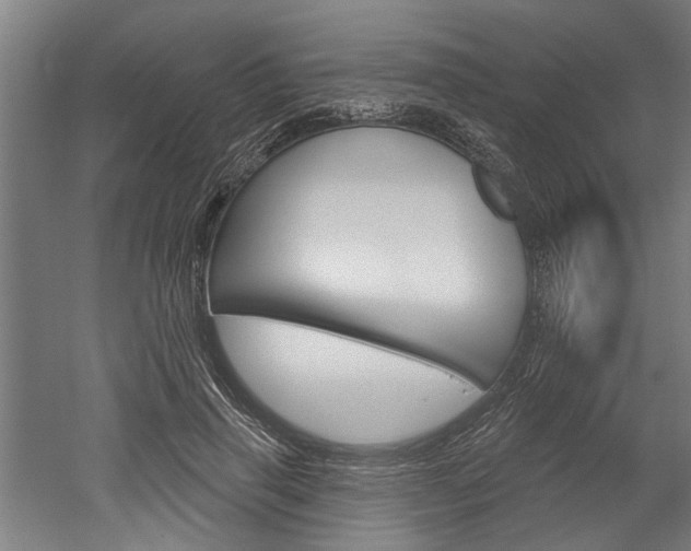 X0000052540645200507010820