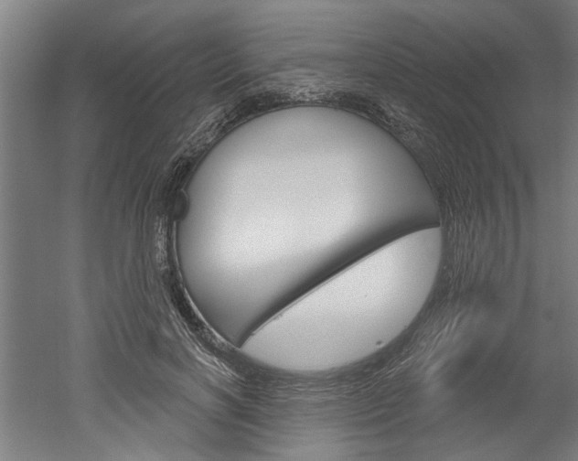 X0000052540646200507010820