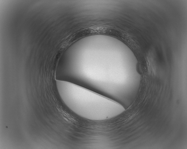 X0000052540649200507010820