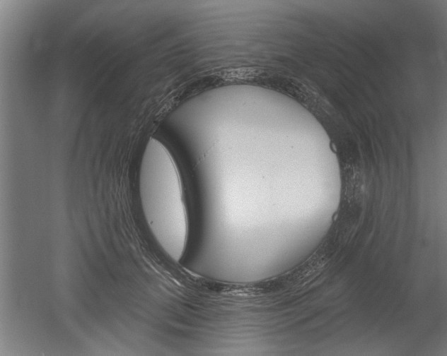 X0000052540655200507010820