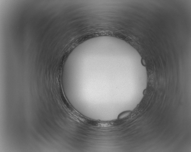 X0000052540662200507010820