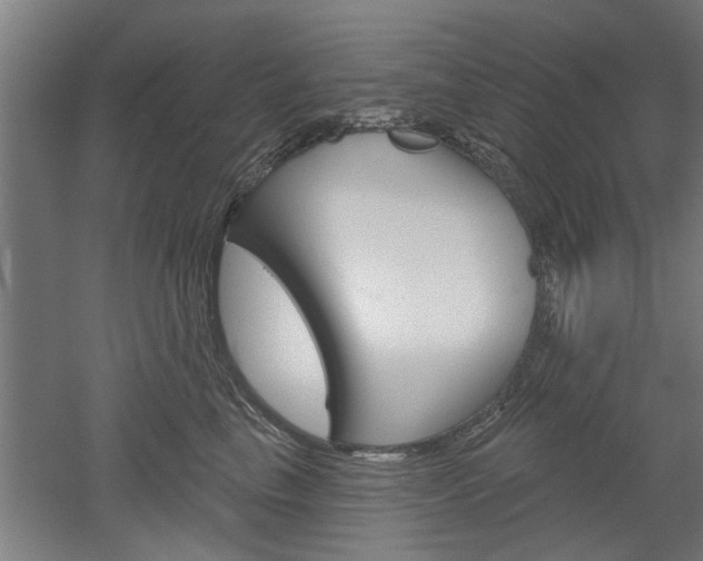 X0000052540665200507010820
