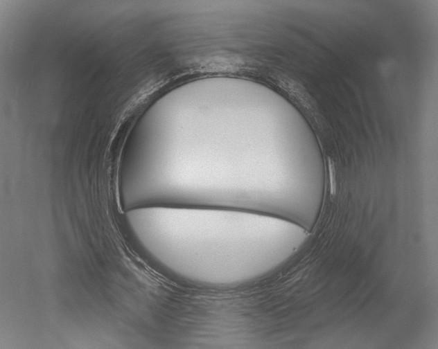 X0000052540675200507010819