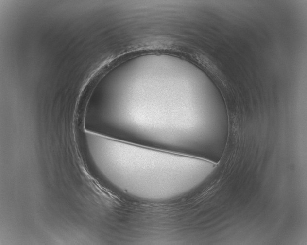 X0000052540676200507010819