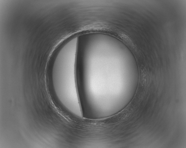 X0000052540680200507010819
