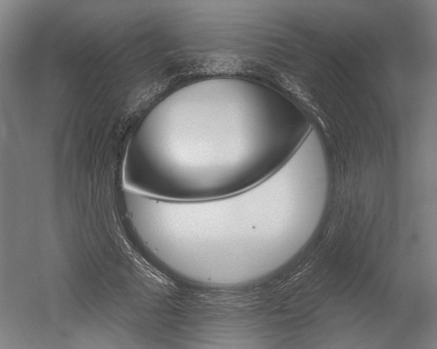 X0000052540681200507010819