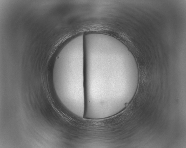 X0000052540683200507010819