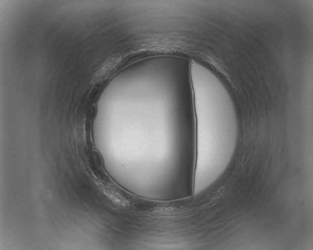 X0000052540685200507010819