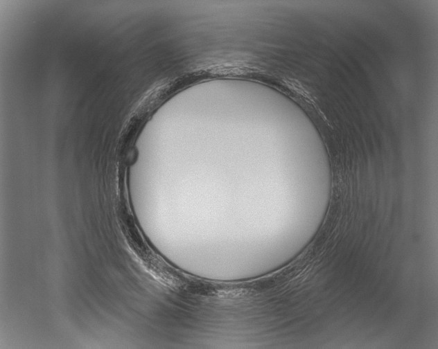 X0000052540686200507010819