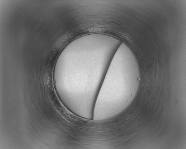 X0000052540687200507010819