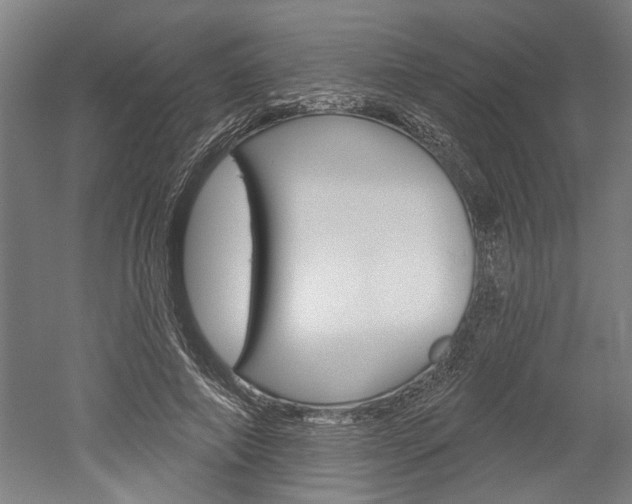 X0000052540690200507010819