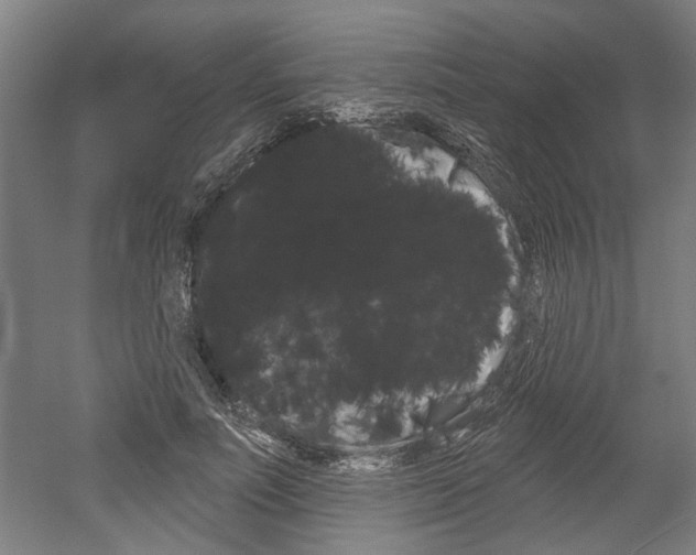 X0000052540691200507010819