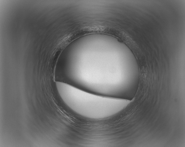 X0000052540692200507010819