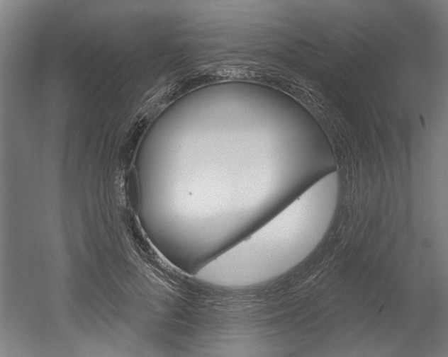 X0000052540696200507010819