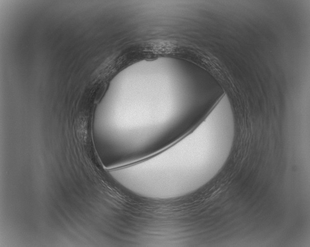 X0000052540697200507010819