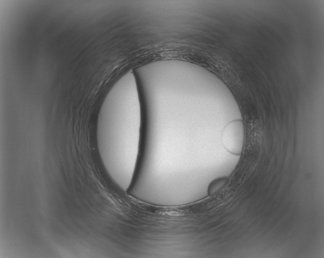 X0000052540698200507010819