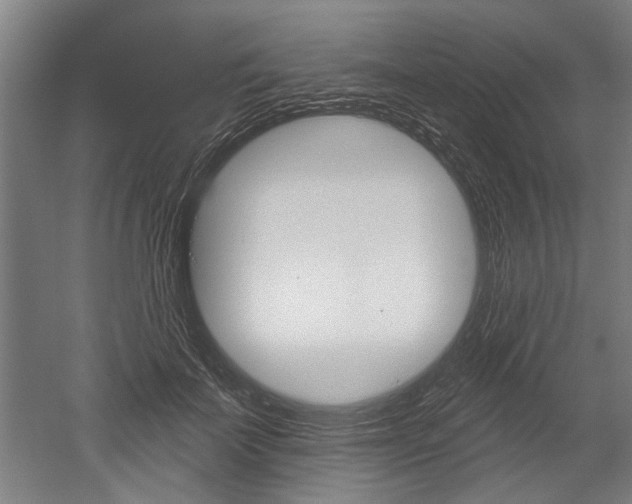 X0000052540699200507010819