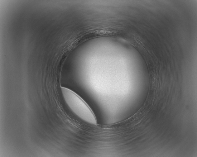X0000052540700200507010819