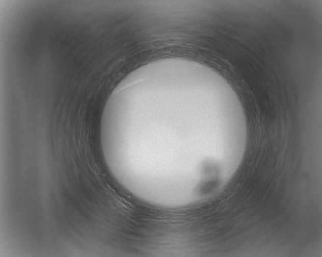 X0000052540701200507010819